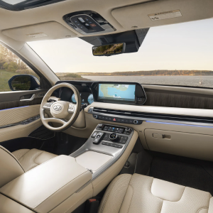 HYUNDAI Palisade 2024 – Image 2